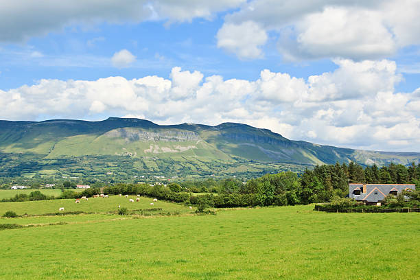 irish landschaft, farmland. - sligo stock-fotos und bilder