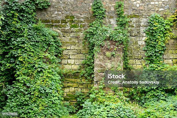 Old Stone Wall Stock Photo - Download Image Now - Ancient, Antique, Architecture