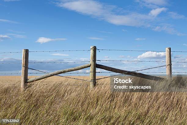 Alambradas De Púas En Tierras De Prairie Foto de stock y más banco de imágenes de Granja - Granja, Saskatchewan, Agricultura