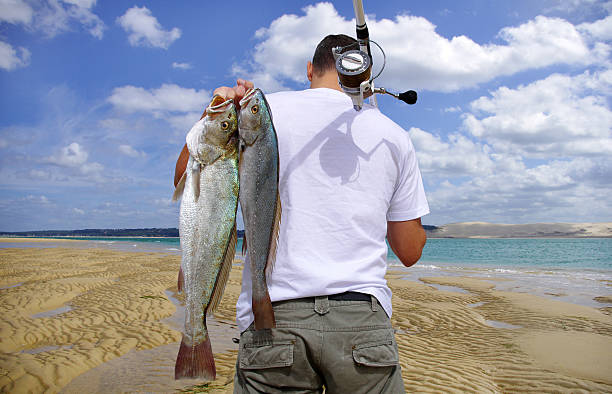 Adventure fishing A surf fisherman with two big saltwater fish on a paradise beach catch of fish stock pictures, royalty-free photos & images