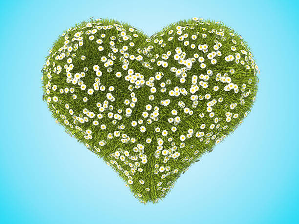 istock Green grass heart shape with camomile flowers over blue 177432074