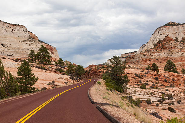 istock Road through Zion national park in Utah 177432475