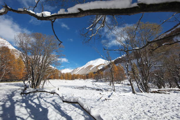 istock First snow in Maljasset; Saint-Paul-sur-Ubaye
​ 1774324905
