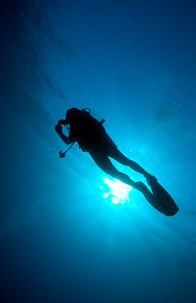 istock Silhouette of diver with sun disk behind 177432556