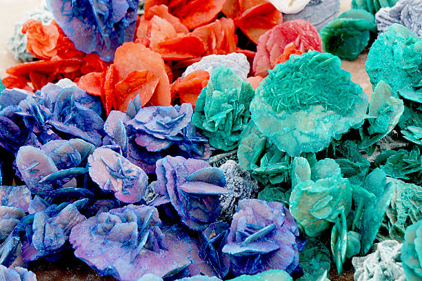 Colorful desert roses stock photo