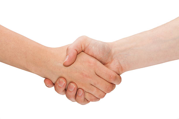 Handshake isolated. stock photo