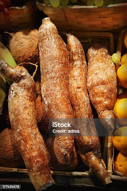 Bunch Of Cassava Fruit In Basket Stock Photo - Download Image Now - Agriculture, Brown, Cassava