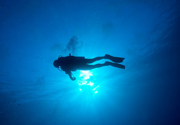 istock Silhouette of diver with sun disk behind 177434755