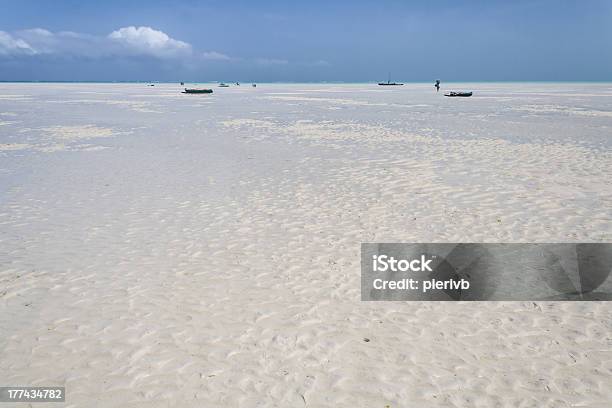 Sandbar Shark Stockfoto und mehr Bilder von Afrika - Afrika, Binneninsel Île de la Cité, Blau