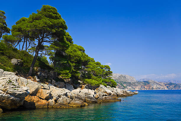 istock Island Lopud in Croatia 177435456