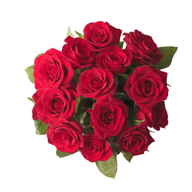 A beautiful bouquet of red roses Red roses bouquet on white background bunch stock pictures, royalty-free photos & images