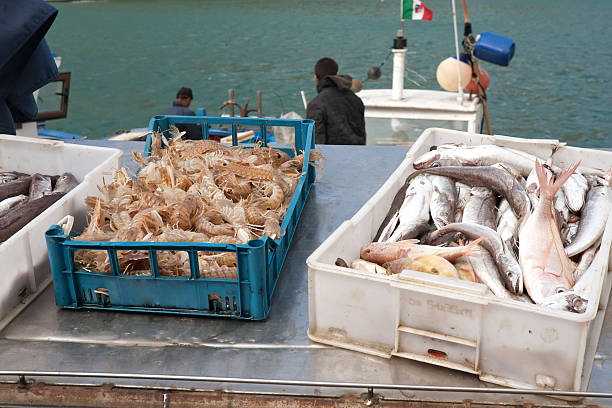 istock morning sea haul 177436102