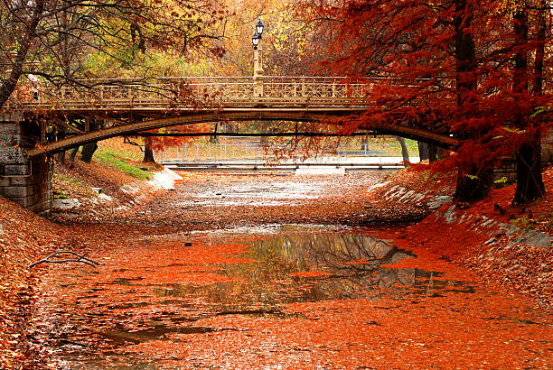 Beautiful foot bridge in a park during the autumn time