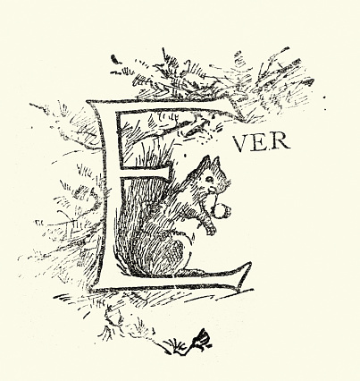 Vintage illustration of Captial letter E, Ever, Squirrel, Victorian design element, 19th Century