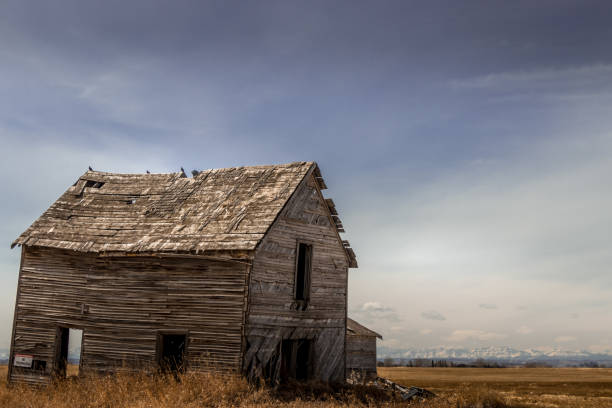 istock Run down farm buildings Indus Alberta Canada 1774363840