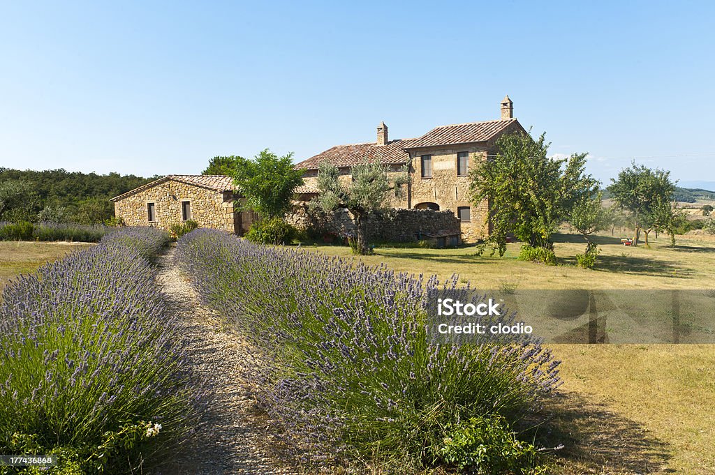 Fazenda em Val d'Orcia (Toscana) - Foto de stock de Flor royalty-free