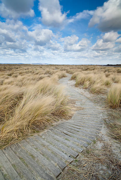 west wittering boardwalk - witterung photos et images de collection