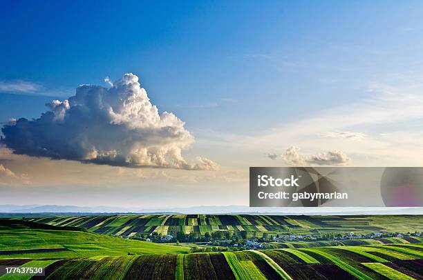 Walk In The Clouds Stock Photo - Download Image Now - Agricultural Field, Agriculture, Atmospheric Mood