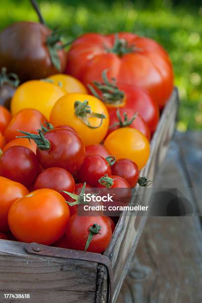 Tomaten Stockfoto und mehr Bilder von Ernten - Ernten, Fleischtomate, Fotografie