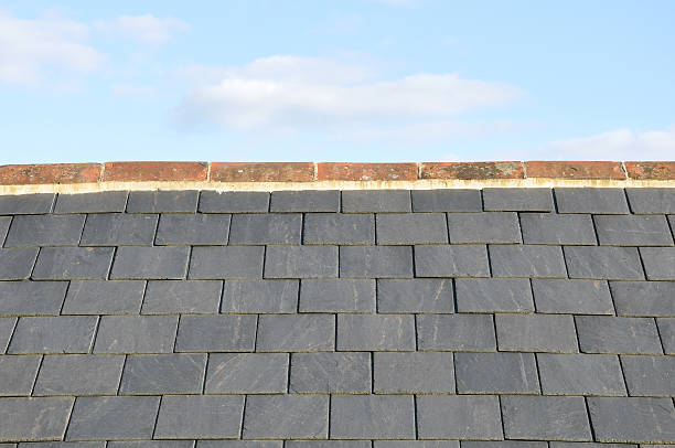 Roof Tiles stock photo