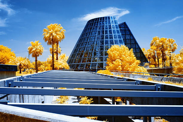 Infrared Glass House Pyramid W/ Palm Trees