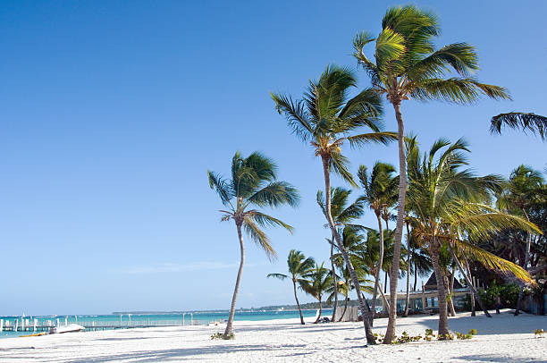 istock Fantastic tropical beach on the peninsula of Samana 177438891
