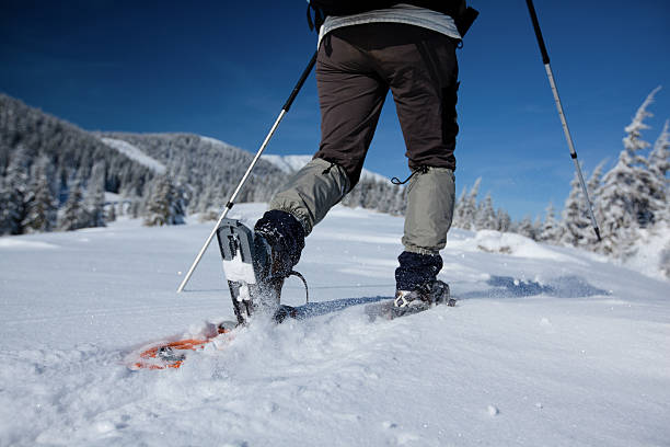 istock Hiker in winter mountains snowshoeing 177438901