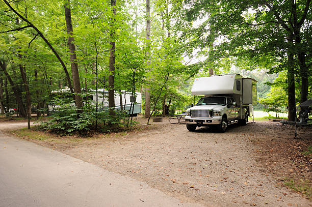 istock Truck camper in campsite 177439601
