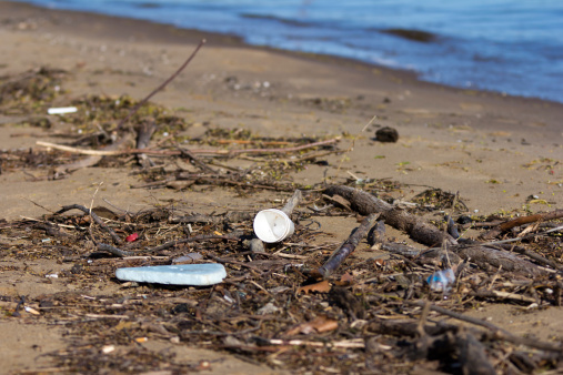 Miscellaneous trash has been left or washed up on the shore of Lake Michigan.