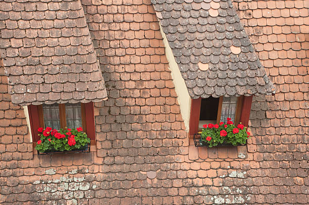 window on building roof with flowers stock photo