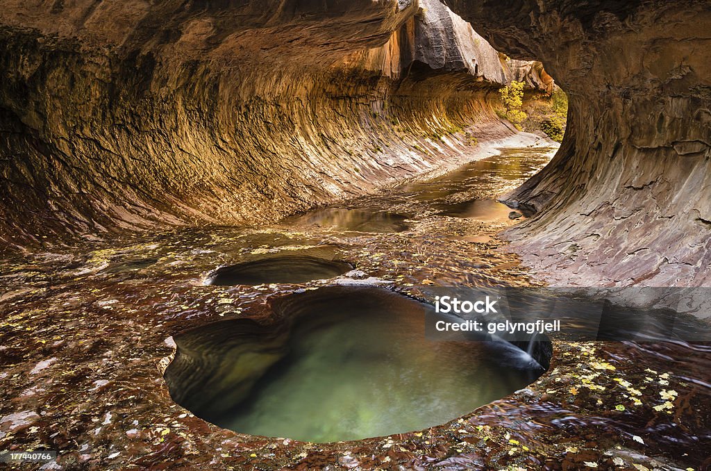 Subway Zion "Unique slot canyon called The Subway in Zion National Park, Utah" Desert Area Stock Photo