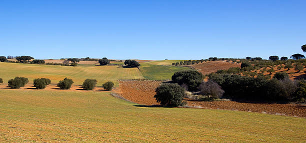 istock Panoramic of the fields in Castile-La Mancha, Spain.. 177441135