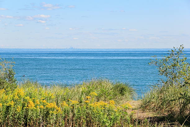 istock Confederation Beach View of Toronto Skyline 177441598