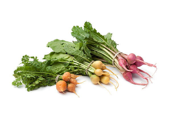 istock Fresh variety of baby vegetables 177441670