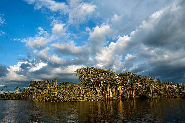 istock Amazon Cuyabeno Lake, Ecuador 177442197