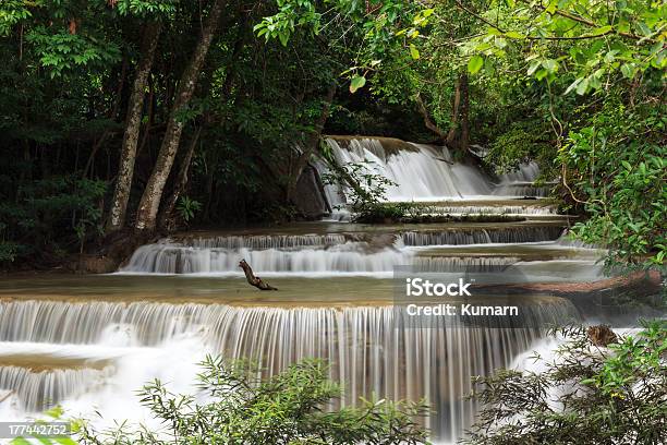 Dedicase Waterfall - zdjęcia stockowe i więcej obrazów Ciecz - Ciecz, Drzewo, Dziewiczość
