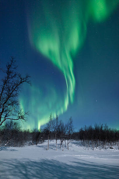 istock Aurora Borealis (Northern Lights) in Sweden 177442844
