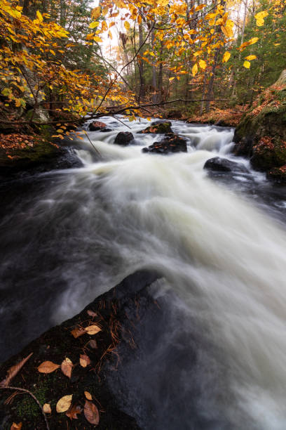 istock Running Waters in Sanford Maine 1774431718