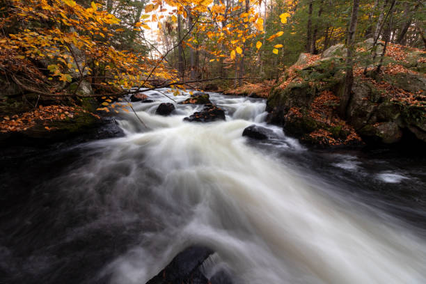 istock Running Waters in Sanford Maine 1774431770