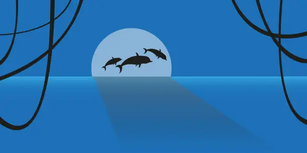 Vector illustration of Dolphin family and sunset background