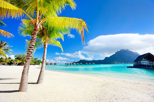 A beach in BoraBora with a blue sea, white sand and sun  stock photo