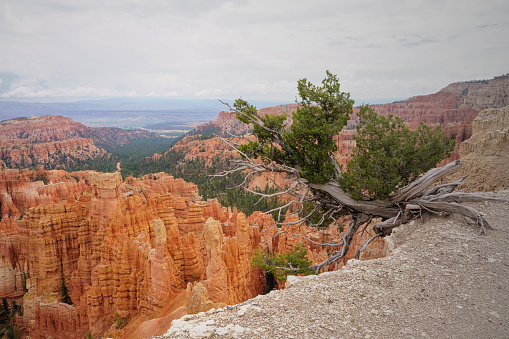 Bryce Canyon National Park (UT)