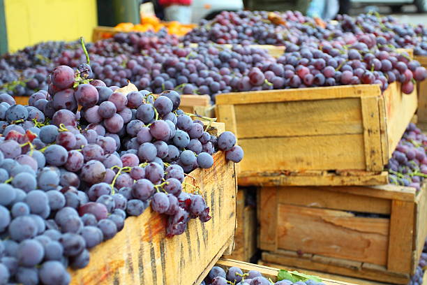istock Red grapes in boxes at market in Valparaiso, Chile 177444685