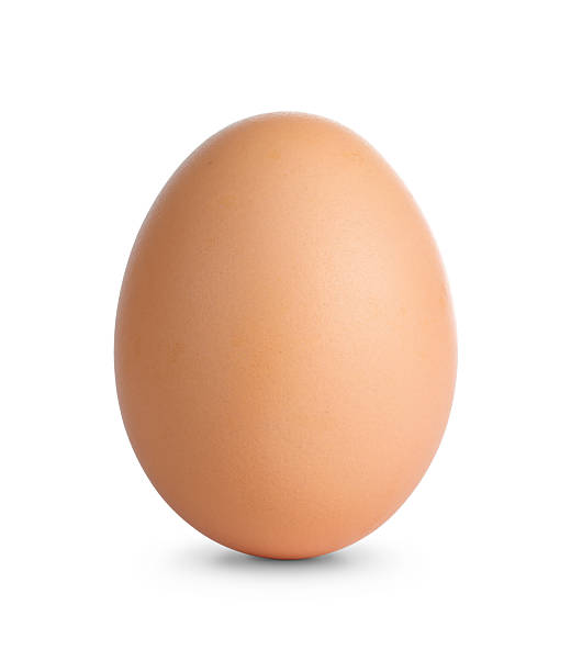 plain brown egg standing on white surface - ägg bildbanksfoton och bilder