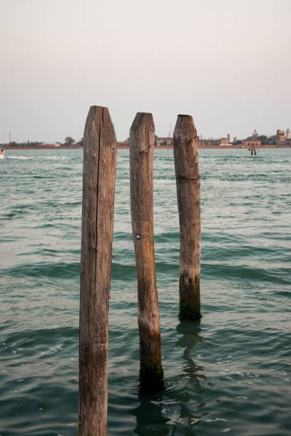 istock Piles in the water 1774449499