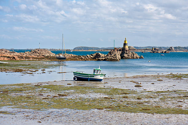 istock Coast of Brittany during ebb tide 177445110