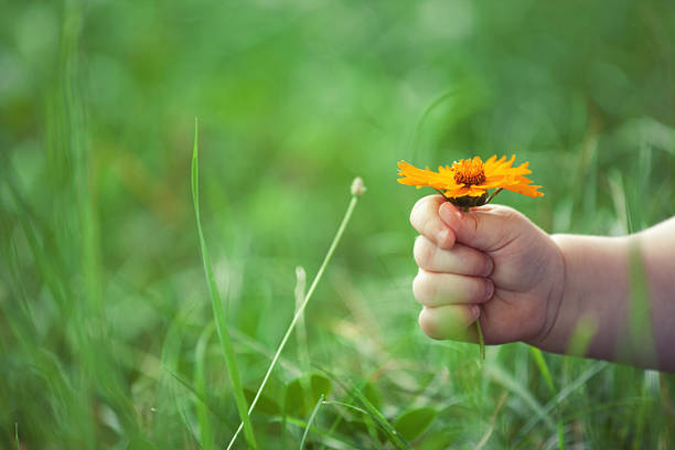 istock Flower in baby's hand on grass 177446212
