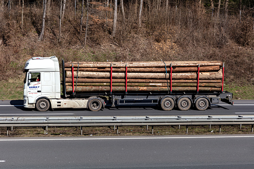 Wiehl, Germany - March 24, 2021: HAMA Trucks DAF XF logging truck on motorway