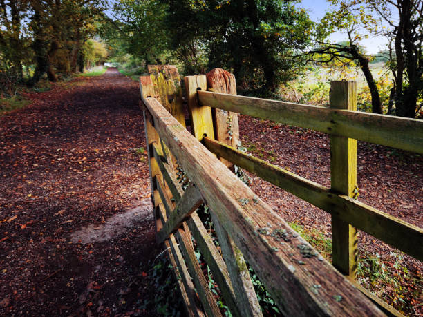 walking footpath autumn fall nature outdoors landscape environment beautiful