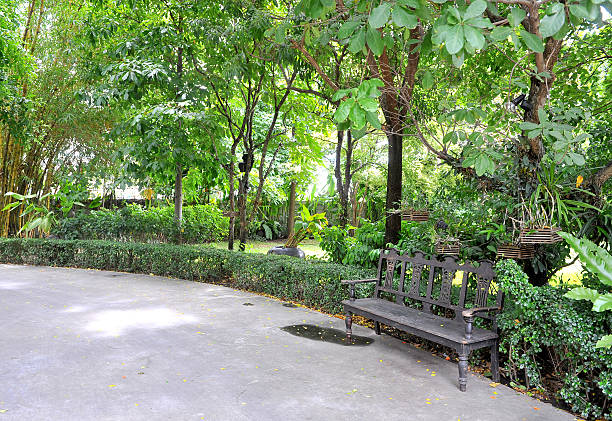 istock relax chair in the garden 177447400